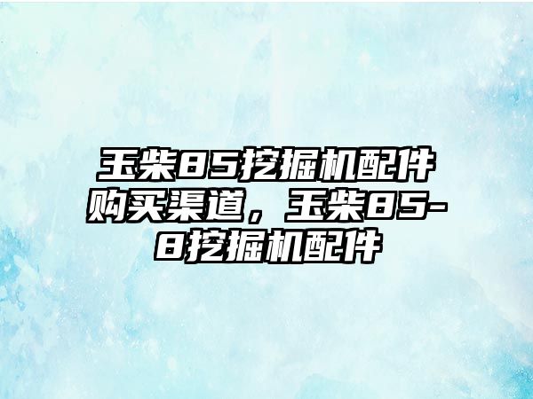 玉柴85挖掘機(jī)配件購(gòu)買渠道，玉柴85-8挖掘機(jī)配件