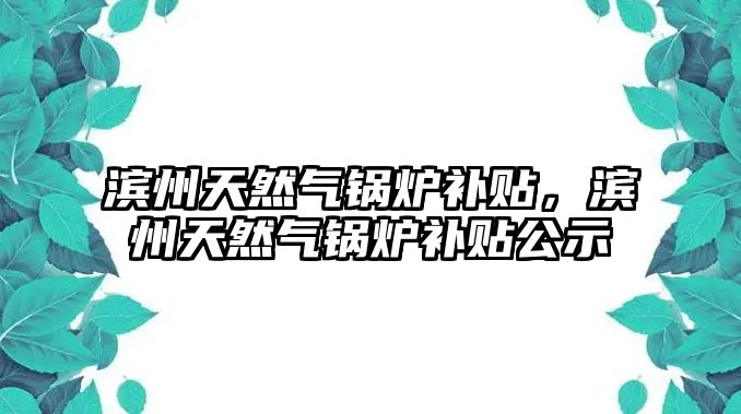 濱州天然氣鍋爐補貼，濱州天然氣鍋爐補貼公示