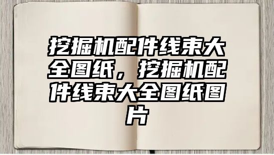 挖掘機配件線束大全圖紙，挖掘機配件線束大全圖紙圖片