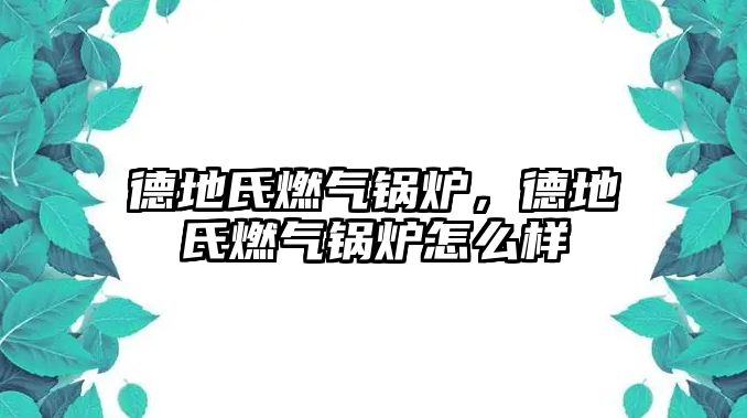 德地氏燃氣鍋爐，德地氏燃氣鍋爐怎么樣