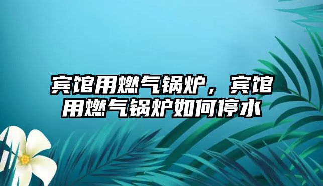 賓館用燃氣鍋爐，賓館用燃氣鍋爐如何停水