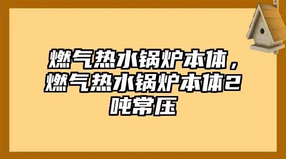 燃氣熱水鍋爐本體，燃氣熱水鍋爐本體2噸常壓