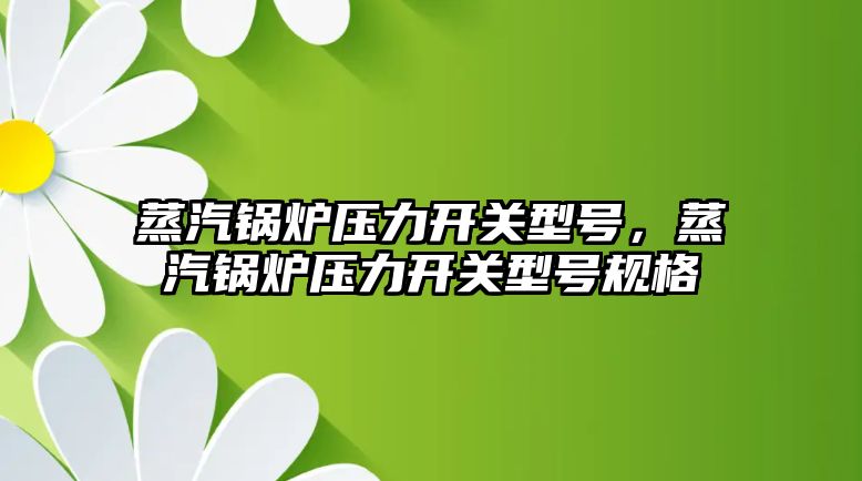 蒸汽鍋爐壓力開關型號，蒸汽鍋爐壓力開關型號規格