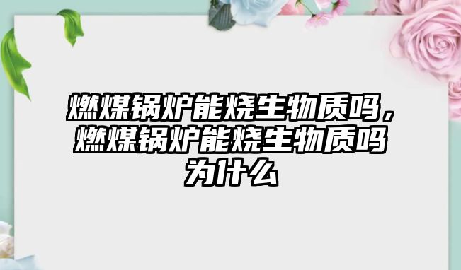 燃煤鍋爐能燒生物質嗎，燃煤鍋爐能燒生物質嗎為什么