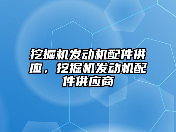 挖掘機發動機配件供應，挖掘機發動機配件供應商