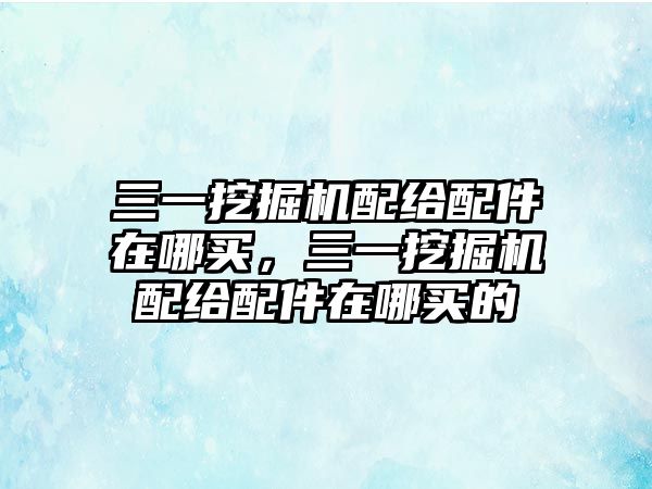 三一挖掘機配給配件在哪買，三一挖掘機配給配件在哪買的