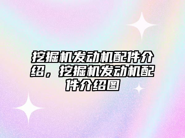 挖掘機發動機配件介紹，挖掘機發動機配件介紹圖