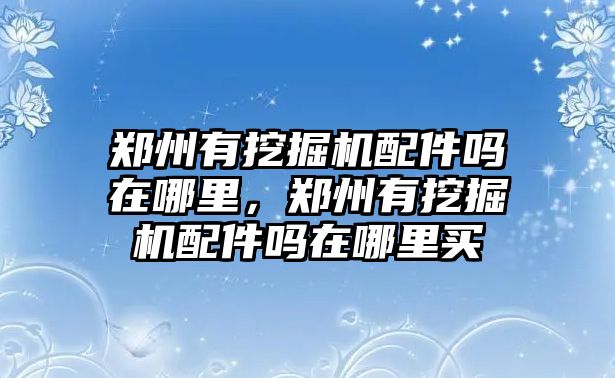 鄭州有挖掘機配件嗎在哪里，鄭州有挖掘機配件嗎在哪里買