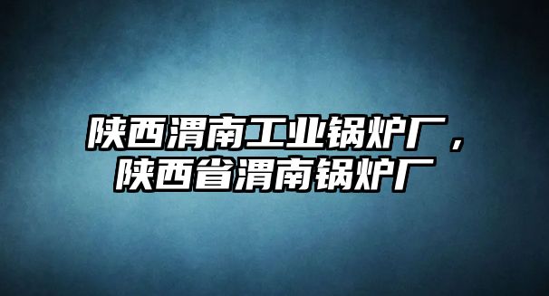 陜西渭南工業(yè)鍋爐廠，陜西省渭南鍋爐廠