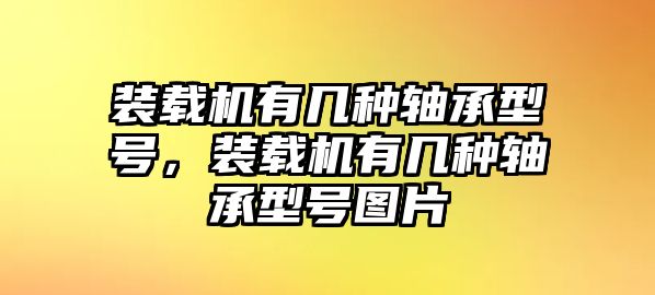 裝載機有幾種軸承型號，裝載機有幾種軸承型號圖片