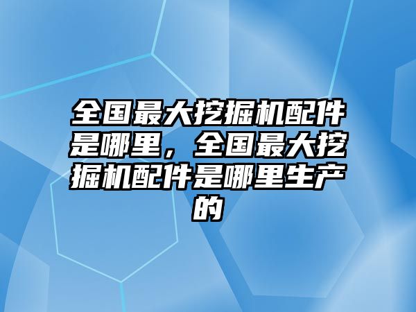 全國最大挖掘機配件是哪里，全國最大挖掘機配件是哪里生產的