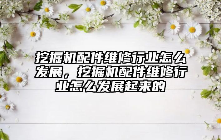 挖掘機配件維修行業怎么發展，挖掘機配件維修行業怎么發展起來的