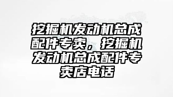 挖掘機(jī)發(fā)動(dòng)機(jī)總成配件專賣，挖掘機(jī)發(fā)動(dòng)機(jī)總成配件專賣店電話