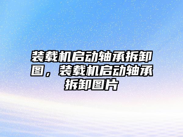 裝載機啟動軸承拆卸圖，裝載機啟動軸承拆卸圖片