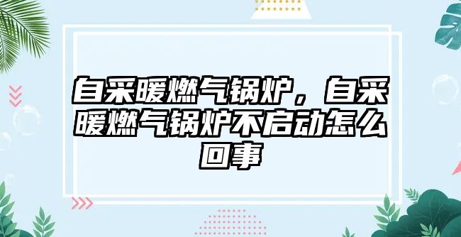 自采暖燃氣鍋爐，自采暖燃氣鍋爐不啟動怎么回事