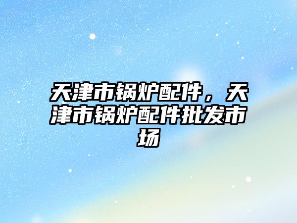 天津市鍋爐配件，天津市鍋爐配件批發(fā)市場