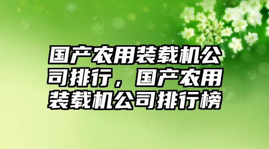 國產農用裝載機公司排行，國產農用裝載機公司排行榜