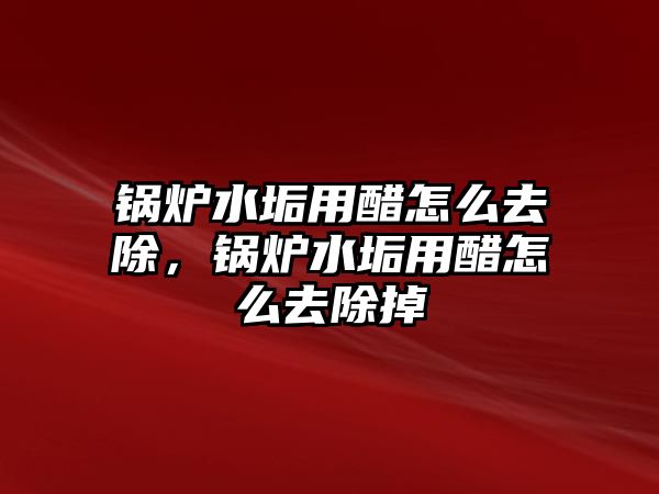 鍋爐水垢用醋怎么去除，鍋爐水垢用醋怎么去除掉