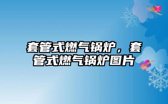 套管式燃氣鍋爐，套管式燃氣鍋爐圖片