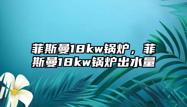 菲斯曼18kw鍋爐，菲斯曼18kw鍋爐出水量