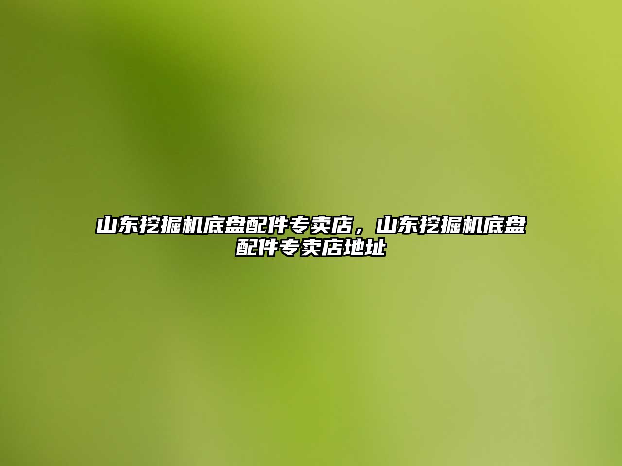 山東挖掘機底盤配件專賣店，山東挖掘機底盤配件專賣店地址