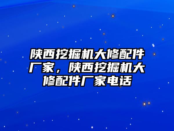 陜西挖掘機大修配件廠家，陜西挖掘機大修配件廠家電話