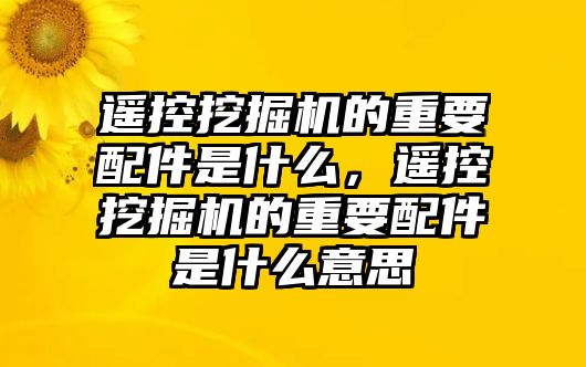 遙控挖掘機的重要配件是什么，遙控挖掘機的重要配件是什么意思