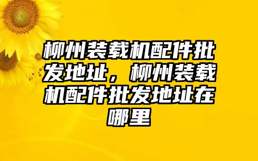 柳州裝載機配件批發(fā)地址，柳州裝載機配件批發(fā)地址在哪里