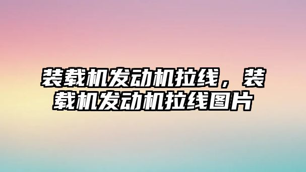 裝載機發(fā)動機拉線，裝載機發(fā)動機拉線圖片