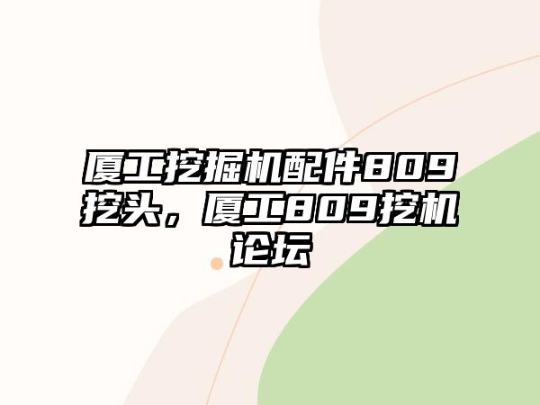 廈工挖掘機配件809挖頭，廈工809挖機論壇