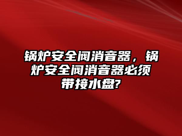 鍋爐安全閥消音器，鍋爐安全閥消音器必須帶接水盤?