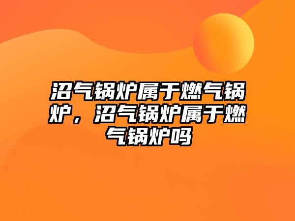 沼氣鍋爐屬于燃氣鍋爐，沼氣鍋爐屬于燃氣鍋爐嗎