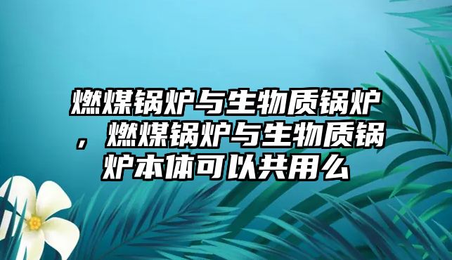 燃煤鍋爐與生物質(zhì)鍋爐，燃煤鍋爐與生物質(zhì)鍋爐本體可以共用么