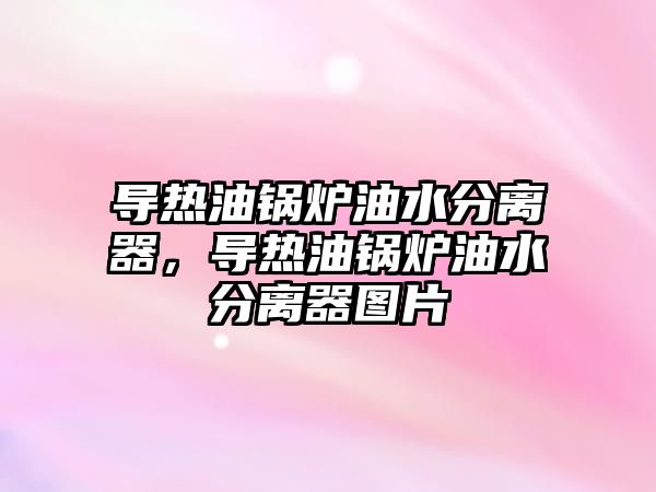 導熱油鍋爐油水分離器，導熱油鍋爐油水分離器圖片