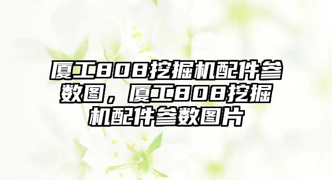 廈工808挖掘機(jī)配件參數(shù)圖，廈工808挖掘機(jī)配件參數(shù)圖片