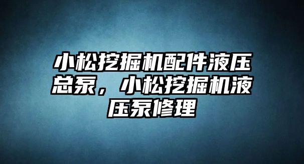 小松挖掘機配件液壓總泵，小松挖掘機液壓泵修理