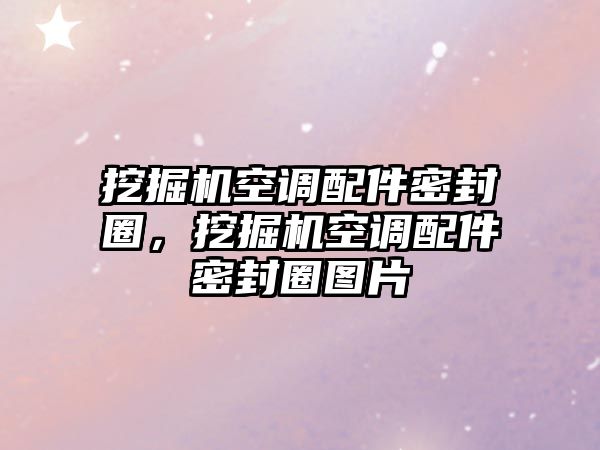 挖掘機空調配件密封圈，挖掘機空調配件密封圈圖片