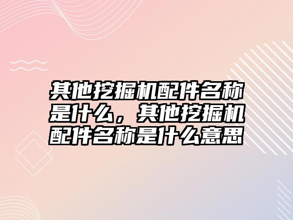 其他挖掘機配件名稱是什么，其他挖掘機配件名稱是什么意思