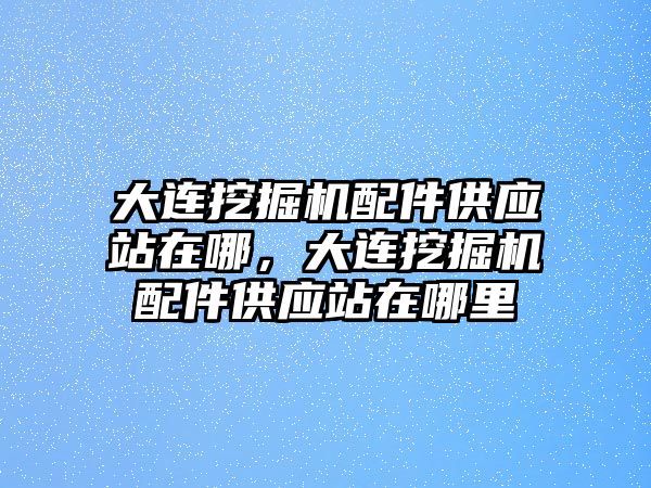 大連挖掘機配件供應(yīng)站在哪，大連挖掘機配件供應(yīng)站在哪里