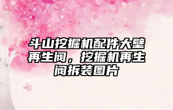 斗山挖掘機配件大壁再生閥，挖掘機再生閥拆裝圖片