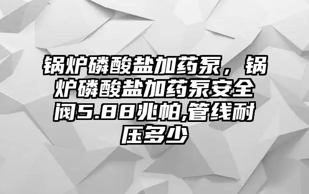 鍋爐磷酸鹽加藥泵，鍋爐磷酸鹽加藥泵安全閥5.88兆帕,管線耐壓多少