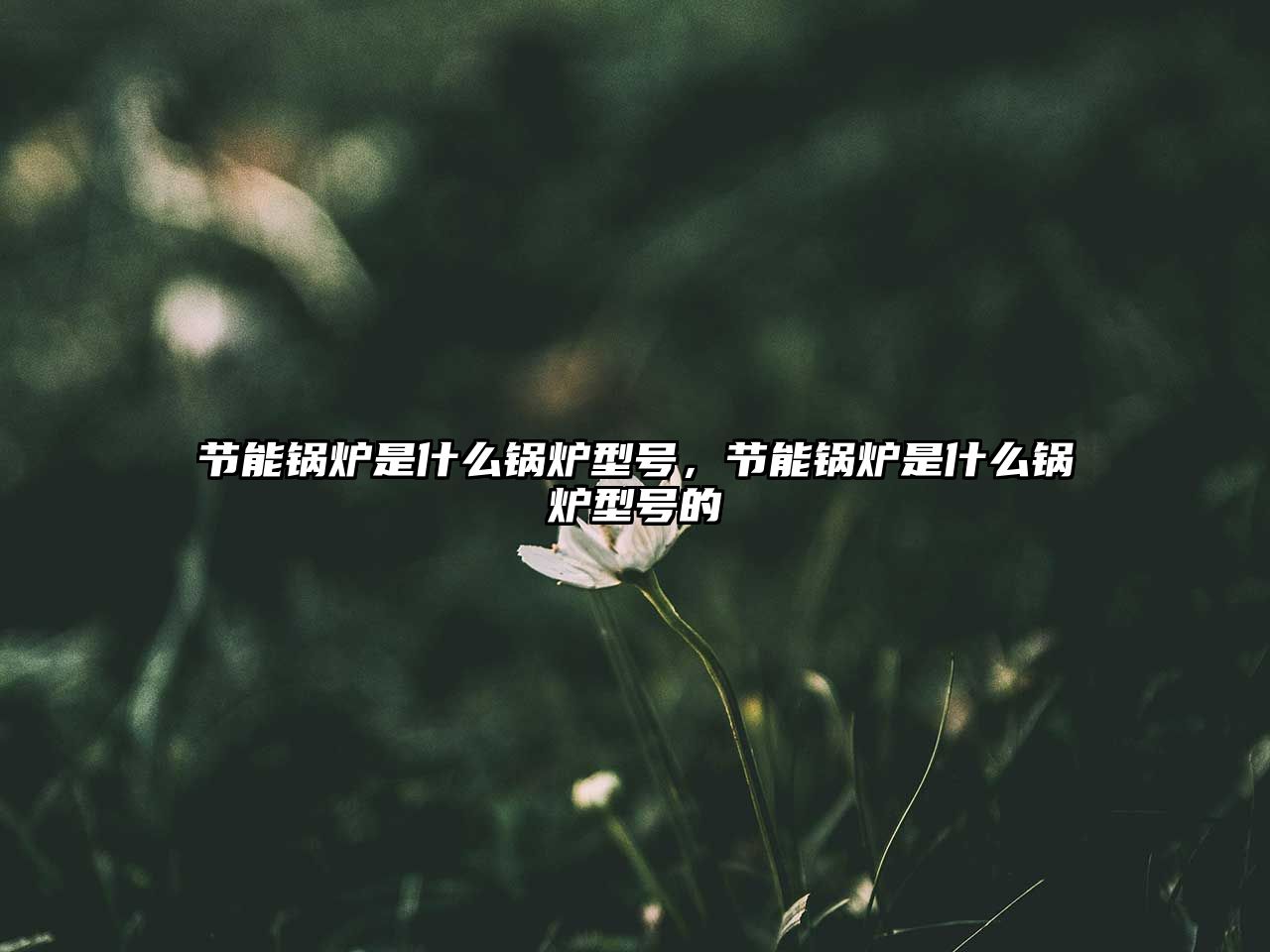 節能鍋爐是什么鍋爐型號，節能鍋爐是什么鍋爐型號的