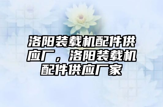 洛陽裝載機配件供應廠，洛陽裝載機配件供應廠家