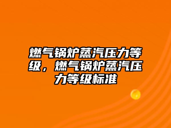 燃?xì)忮仩t蒸汽壓力等級，燃?xì)忮仩t蒸汽壓力等級標(biāo)準(zhǔn)