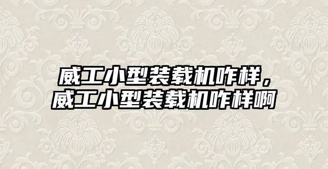 威工小型裝載機咋樣，威工小型裝載機咋樣啊