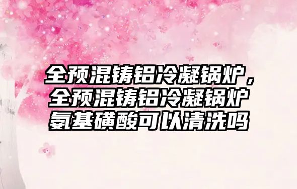 全預混鑄鋁冷凝鍋爐，全預混鑄鋁冷凝鍋爐氨基磺酸可以清洗嗎