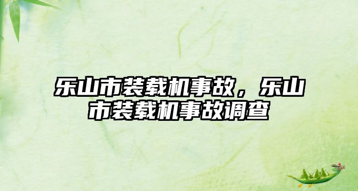 樂山市裝載機事故，樂山市裝載機事故調查