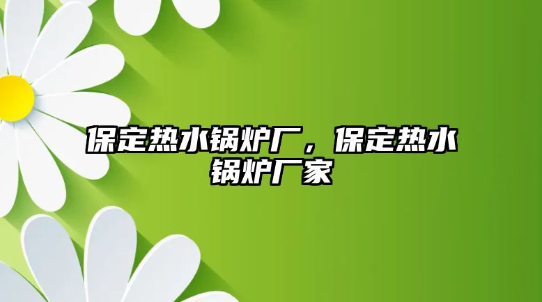 保定熱水鍋爐廠，保定熱水鍋爐廠家