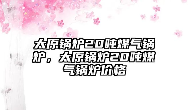 太原鍋爐20噸煤氣鍋爐，太原鍋爐20噸煤氣鍋爐價(jià)格