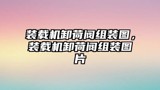 裝載機卸荷閥組裝圖，裝載機卸荷閥組裝圖片